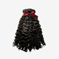 Burmese Curl