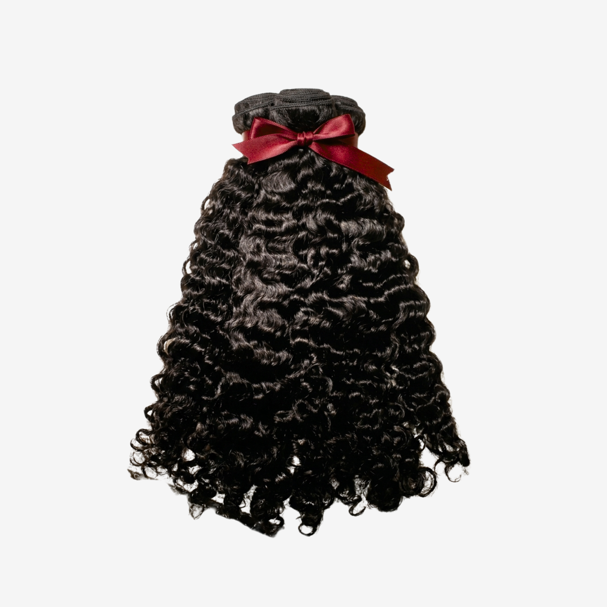 Burmese Curl